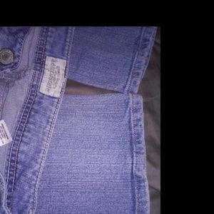 Chelsea bootcut lowrise