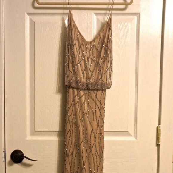 Neutral beaded Adriana Papell Collection Gown