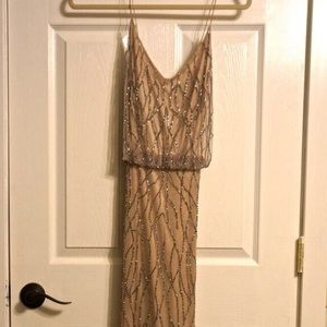 Neutral beaded Adriana Papell Collection Gown