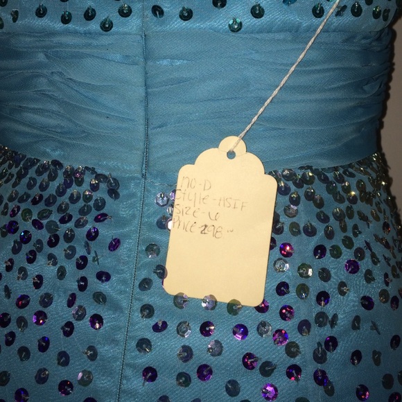 Sequined Pageant/Prom Dress - Picture 4 of 4