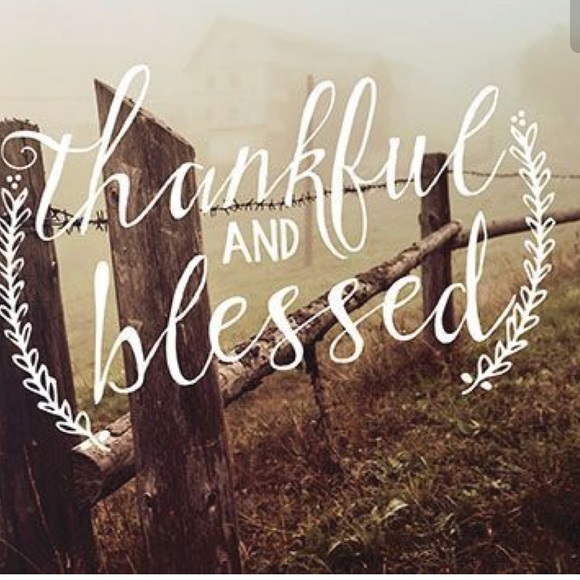 Thank you ✅ - Picture 15 of 16