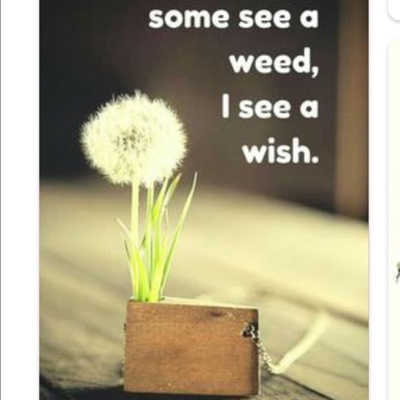 Thank you ✅ - Picture 13 of 16