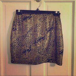 Black and Gold Skirt