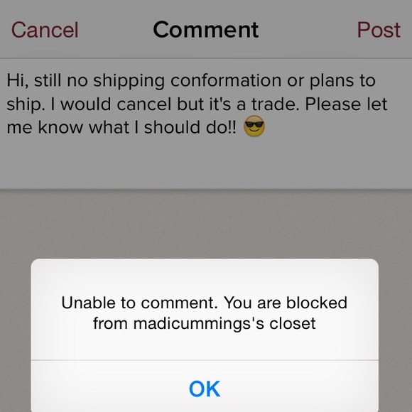 SCAMMER ALERT!!! Want to protect other poshers! 💗 - Picture 2 of 3