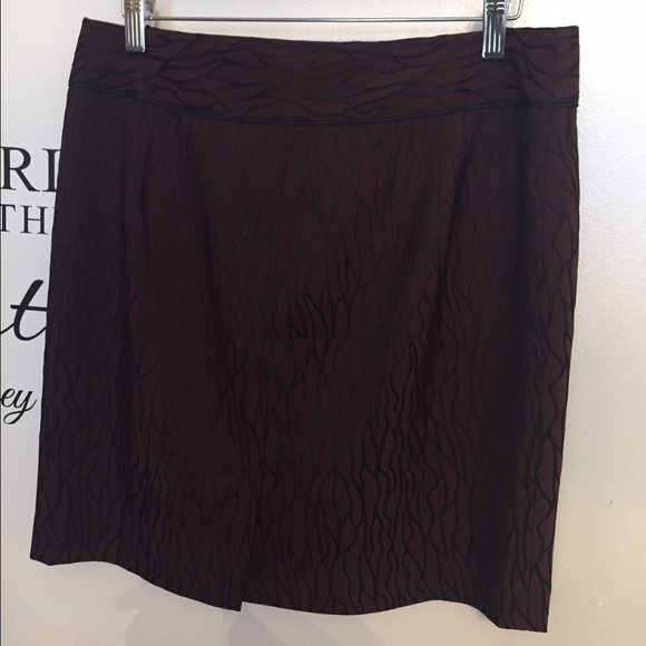 Ann Taylor Skirt