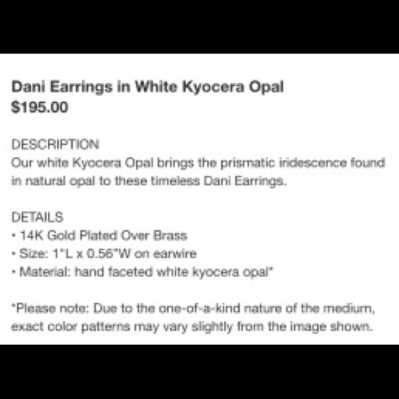 Kendra Scott Dani Earrings - Picture 4 of 4