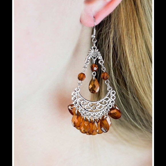 Silver and brown earrings - Picture 1 of 1