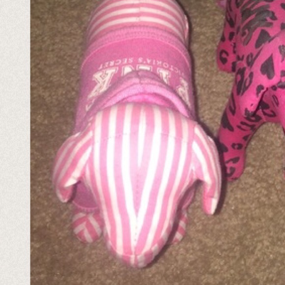 Pink and White Striped Pink Dog