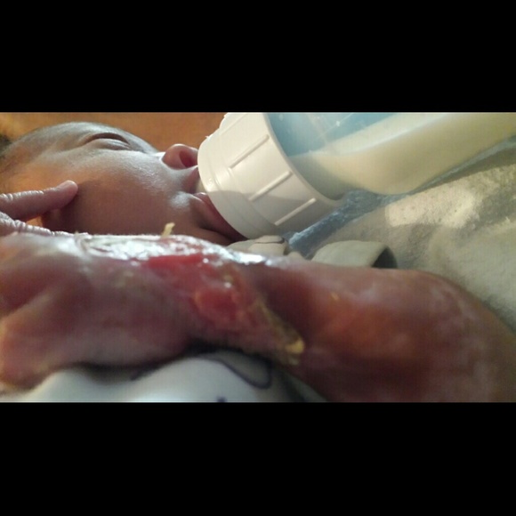 My lil guy 6/5/15 - Picture 3 of 4