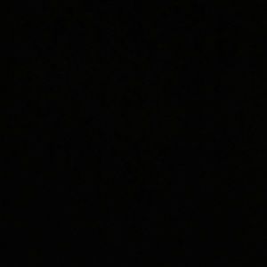 EVERYTHING MUST GOOOO !!!!