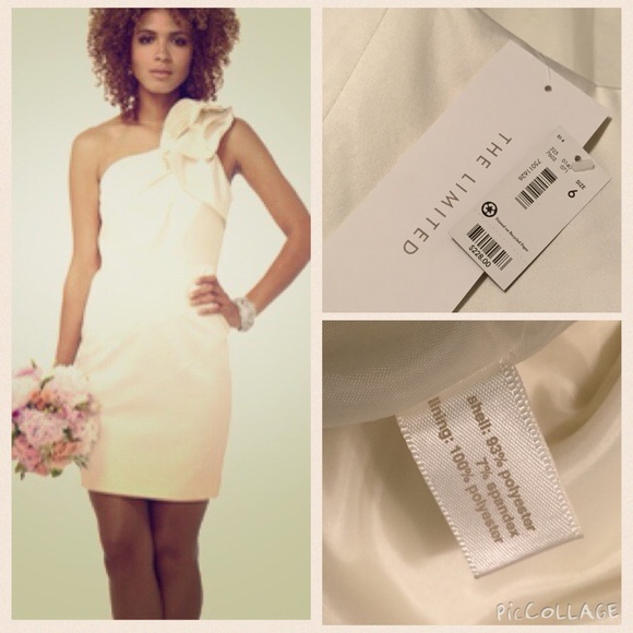 NWT The Limited Ivory Wedding or Reception Dress - Picture 1 of 4