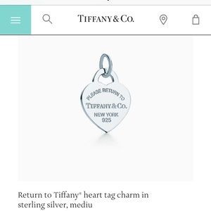 Tiffany's necklace pendant and chain