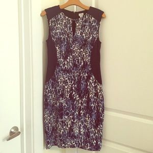 Cachè Blue and white cheetah print dress
