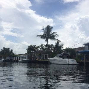 .99 cent shipping today!!!