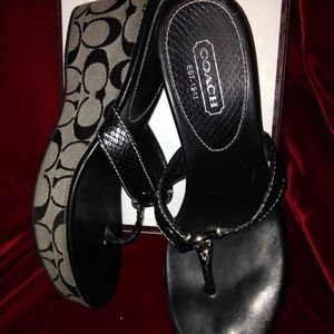 COACH LOGO BRAND WEDGE SHORS