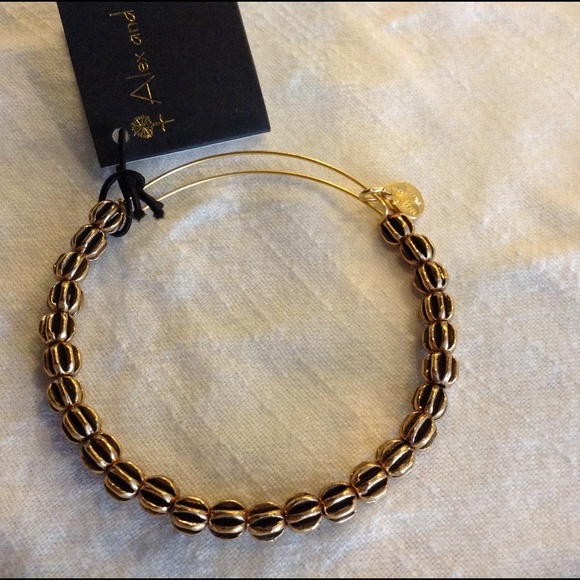 New Alex and Ani expandable bracelet