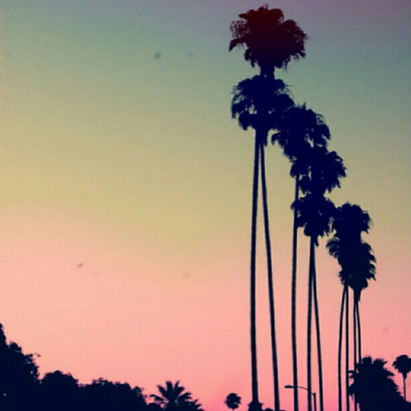 BUNDLE FOR TANK AND SHORTS!