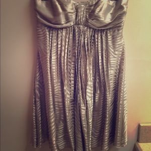 Silver Express dress