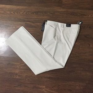 Express barely boot editor dress pants