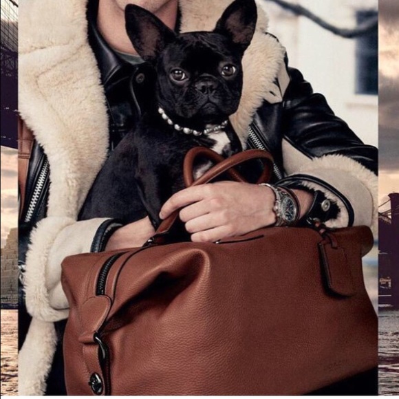 Check out my closet !