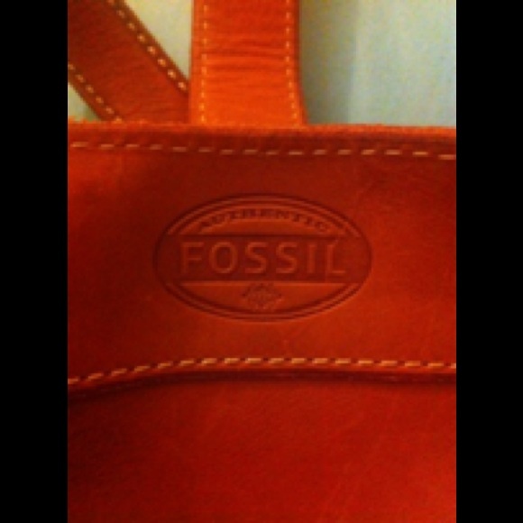 Fossil bag