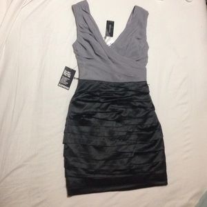 Express bodycon dress