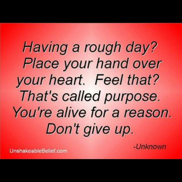 Purpose - Picture 1 of 1