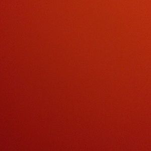 Denim shorts/passport bundle