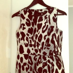 Ann Taylor Leopard Print Sheath Dress.  2P