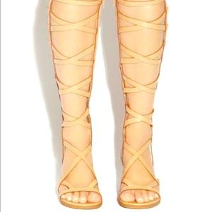 BRAND NEW -unworn Gladiators