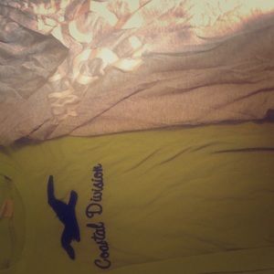 Hollister shirt bundle