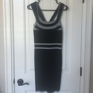 Express bodycon dress