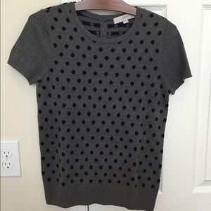 Ann Taylor Loft Polka Dot Short Sleeve Sweater