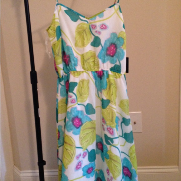 BB Dakota Floral Maxi Dress