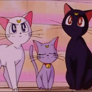 BUNDLE for Ellie 💕