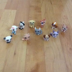 Bundle of lps