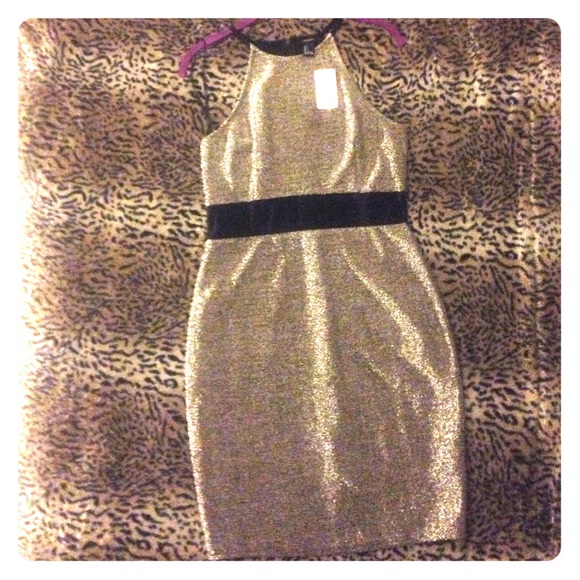 Shimmery dress
