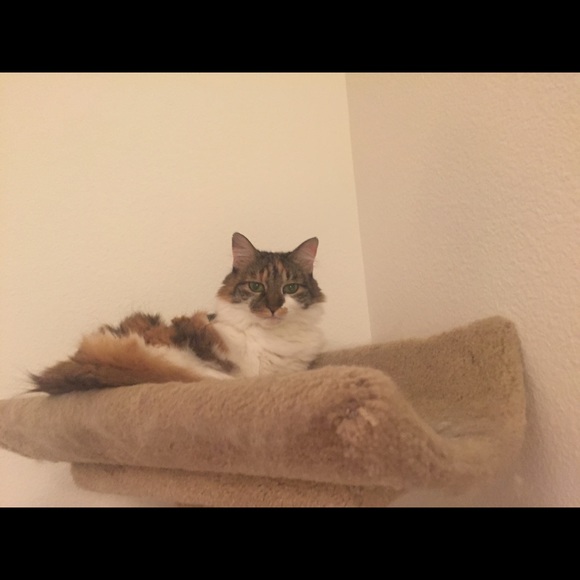 Meet your buyer/seller - Picture 2 of 2