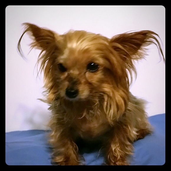 NFS.     Meet my baby girl "Baby DayZ"