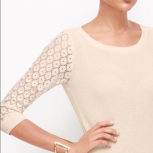 Ann Taylor Lace Sleeve Sweater Dress