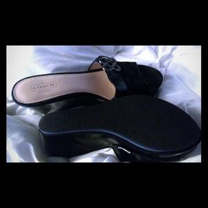 Coach shoes