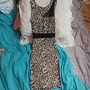 Cheetah Mesh Mini Dress