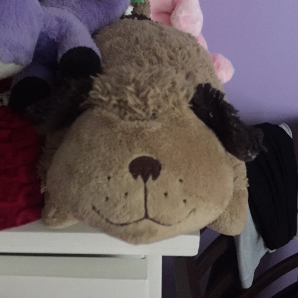 Pillow pet dog