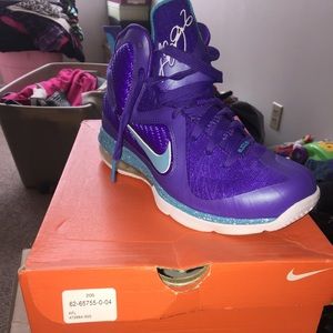 Lebron Hornets