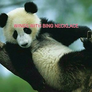 Reserved for sedona12 -Necklace wings & bling