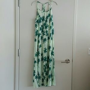 Fighting Eel Ava Sky Jade Palm Maxi XS