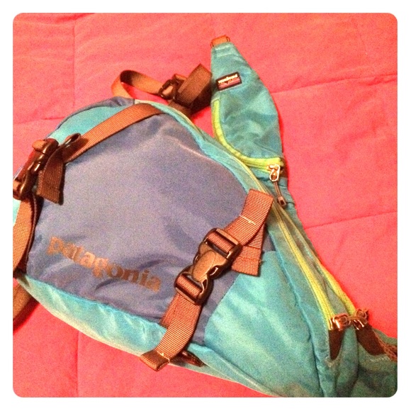 Patagonia atom sling