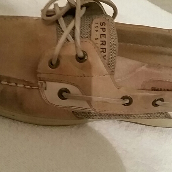 Sperry - Picture 2 of 2