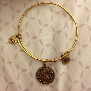 Alex and Ani (+) Energy "Path of Life" bangle
