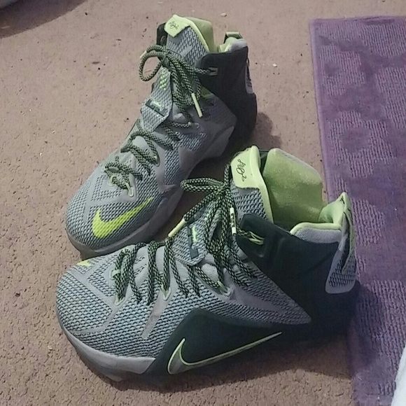 Lebron 12's Dunkman's size 13